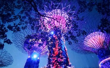 Сингапур, круиз до Тайланд и Малайзия, почивка в Бали 26.01.2026