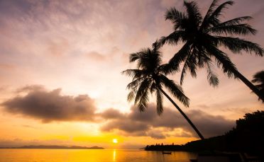 Почивка в Дидим, Турция с автобус от София- 12 нощувки