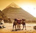 Перлите на Египет - полет от СОФИЯ до ХУРГАДА